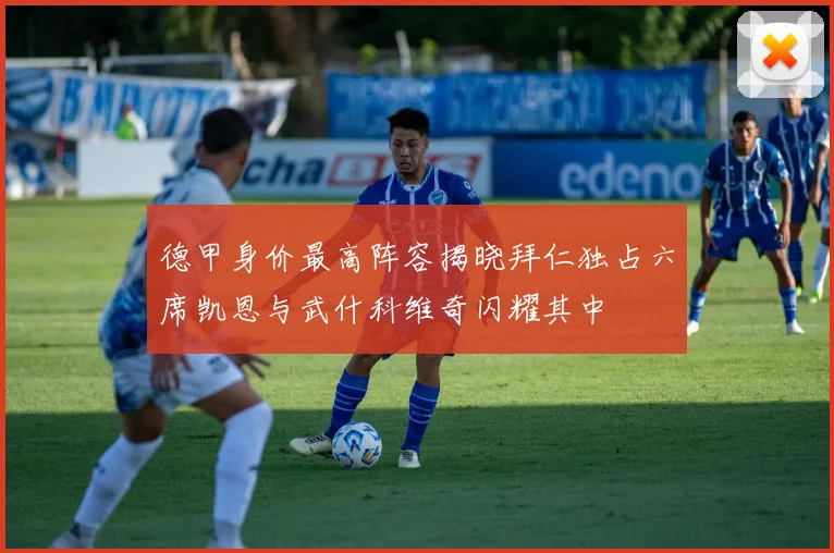 德甲身价最高阵容揭晓拜仁独占六席凯恩与武什科维奇闪耀其中